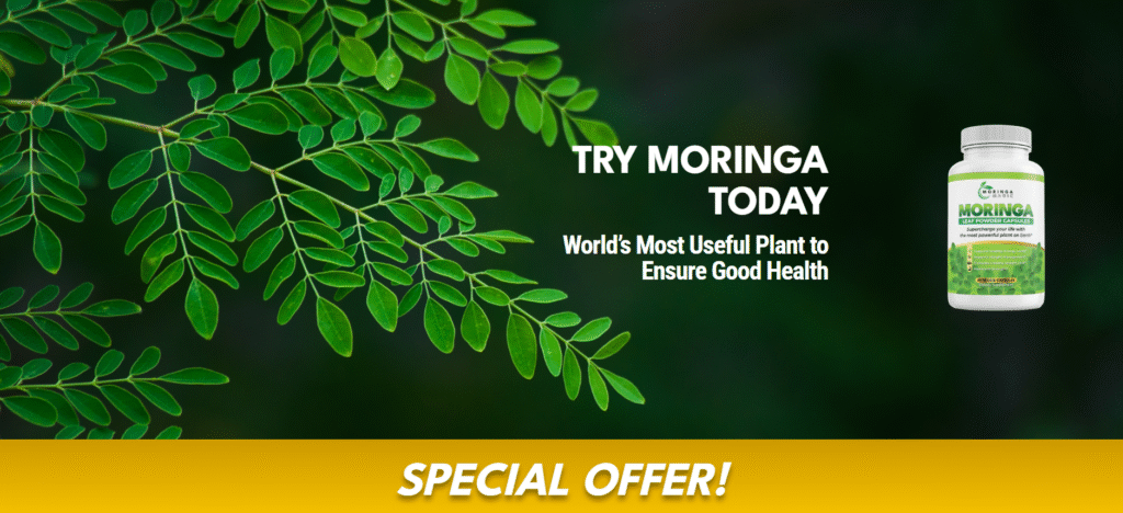 Captura De Tela 2024 07 27 105803 1024x468